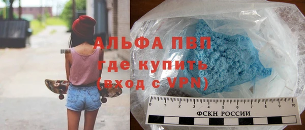 ПСИЛОЦИБИНОВЫЕ ГРИБЫ Верея
