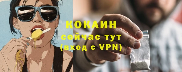 ПСИЛОЦИБИНОВЫЕ ГРИБЫ Верея
