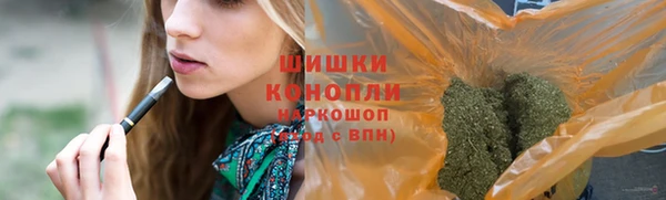 дживик Верхний Тагил