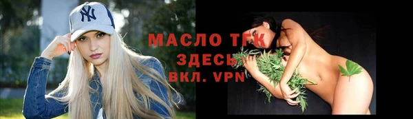 дживик Верхний Тагил