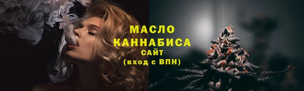 дживик Верхний Тагил