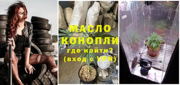 дживик Верхний Тагил