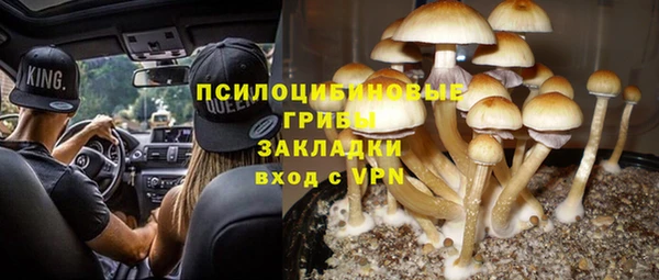дживик Верхний Тагил