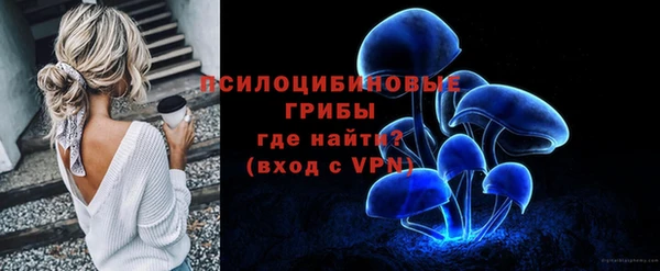 ПСИЛОЦИБИНОВЫЕ ГРИБЫ Верея